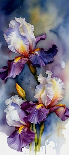 two purple and white irises in watercolor on paper with paint splatters