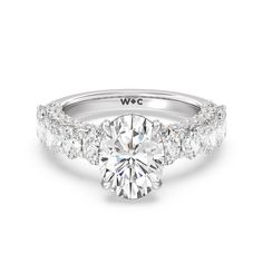 https://embed.imajize.com/4858454 Vine Trellis, Gorgeous Engagement Ring, Now And Forever, Ring Size Guide, Love Symbols, The Bridge, Conflict Free Diamonds, Lab Diamonds, Diamond Gemstone