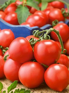 tomatoes in blue bowls sitting on a table