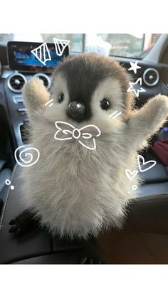 a stuffed animal that is sitting on the dashboard of a car with its hands in the air