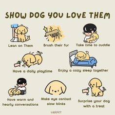 a poster showing how dogs are able to love each other and the words below it say, show dog you love them