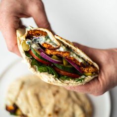 a hand holding a pita sandwich over a plate