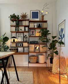 a room filled with lots of books and plants