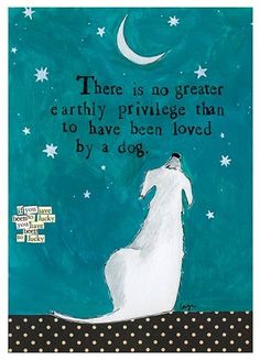 there is no greater earthy privvege than to have been loved by a dog