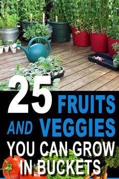 the cover of 25 fruits and veggies you can grow in buckets with text overlay that reads 25 fruits and veggies you can grow in buckets