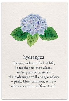 a card with watercolor flowers on it that says, hydrangea happy, rich and full of life