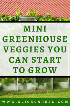 a greenhouse with the words mini greenhouse veggies you can start to grow on it