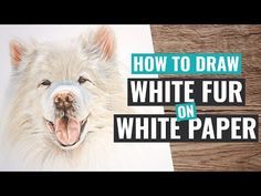 a drawing of a dog with the words how to draw white fur on paper