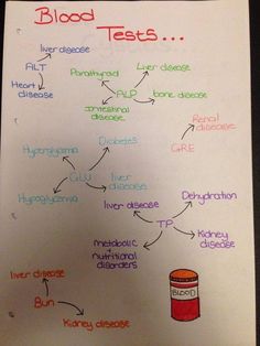 Pharmacology Vet Tech, Vet Tech Pharmacology, Vet Nurse Notes, Vet Laboratory, Navle Study, Vet Tech Notes, Vet Nursing, Veterinary Nursing