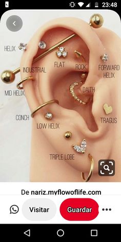 an ear with different types of piercings attached to it and the caption below