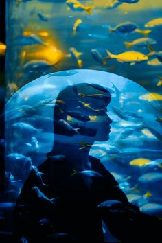 the reflection of a man's face in a glass ball with fish swimming around it