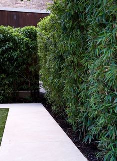 a garden with grass, bushes and a walkway leading to a building in the background