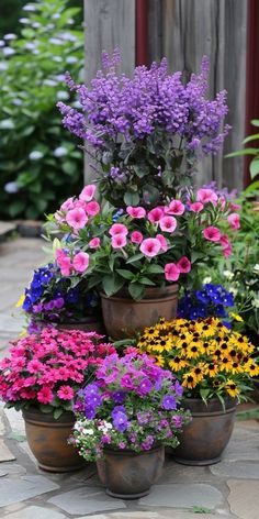 many different types of flowers in pots on the ground