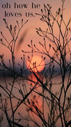 the sun is setting in the distance behind some tree branches with text over it that reads, oh how he loves us