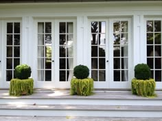 the windows are white with glass panes on each side and two planters in front of them