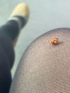 a lady bug sitting on the back of a person's leg