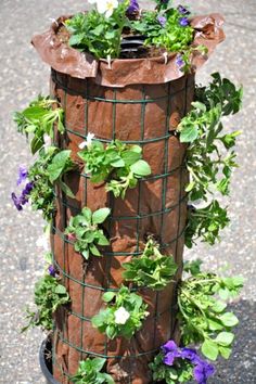 a pole with plants growing out of it