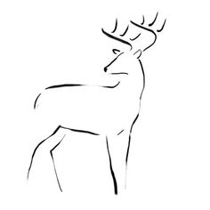 a black and white drawing of a deer