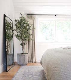 a bedroom with a bed, plant and mirror