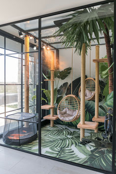 the inside of a building with plants and hanging hammocks in it's windows