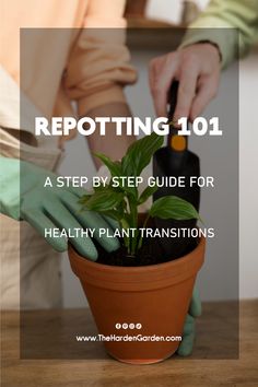 a person holding a potted plant with the words repotting 101 on it