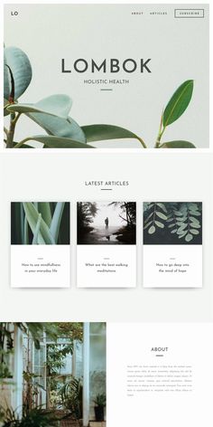 the homepage design for lombok