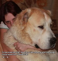 a woman holding a large white dog in her arms with a quote on the back