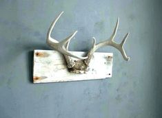 a deer's head mounted on a wooden board with antlers hanging from it