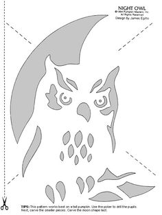 an owl is cut out from the paper and ready to be used in this project