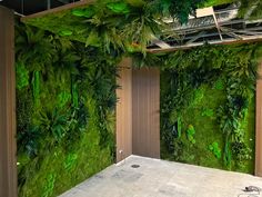 an office with green walls and plants growing on the wall in it's lobby