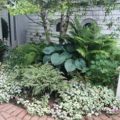 the house is surrounded by lush green plants