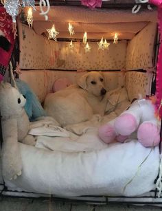 a dog laying in a bed with stuffed animals on the floor and decorations around it