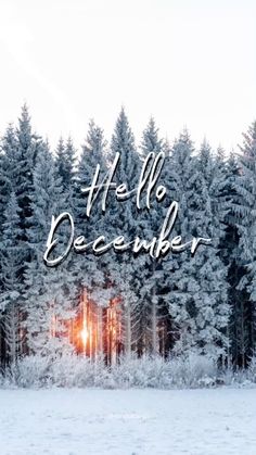 the words hello december are written in front of a snowy scene with trees and snow covered ground