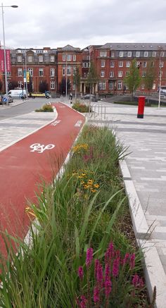 a red bike path in the middle of a city with flowers growing on both sides