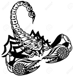 a scorpion tattoo design in black and white, with an intricate pattern on the tail