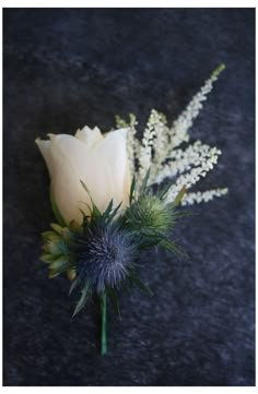 a single white rose with green leaves on a black surface and some other flowers in the background