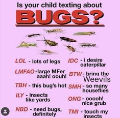 a pink poster with bugs on it and the words is your child texting about bugs?