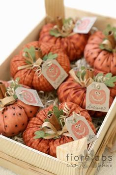 small pumpkins in a box with tags on them