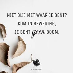 Quotes - De geluksvogel Inspirerende Quotes, Past Quotes, Wise Words, Words Of Wisdom