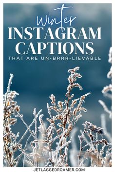 the words winter instagramm captions that are un - brrifiable