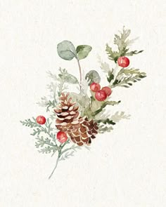 a watercolor painting of pine cones, berries and leaves