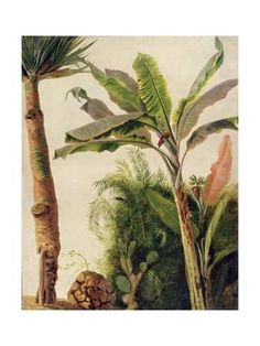 a painting of tropical plants and trees