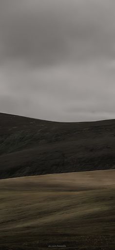 a lone tree stands in the middle of a grassy field under a cloudy gray sky