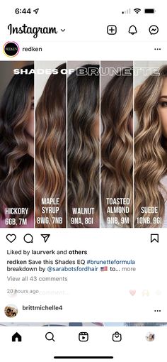 Level 6 Brown Hair, Level 6 Hair, Level 6 Hair Color, Haircuts Ideas For Women, Redken Hair Color, Brown Hair Shades, Haircuts Ideas, Redken Hair Products, Hair Toner