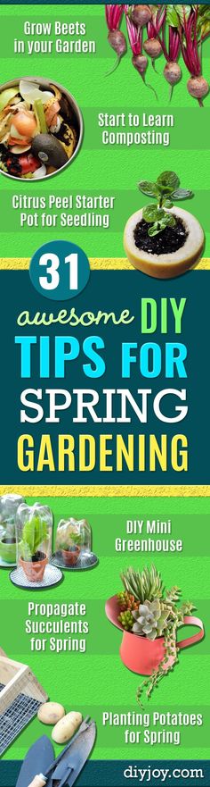 the ultimate guide to growing and caring plants in your garden info sheet for beginners