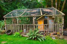 a small chicken coop in the middle of a yard with lots of trees and plants