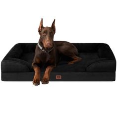 a brown dog laying on top of a black bed