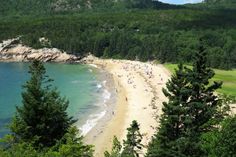 people are on the beach and in the water near some trees, with mountains in the background