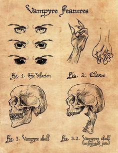 an old book with various types of skulls and hands on top of it's pages