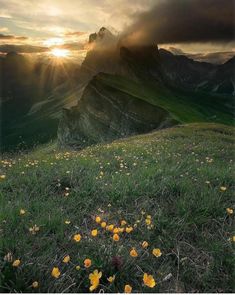 the sun shines brightly through the clouds over mountains and wildflowers in the foreground